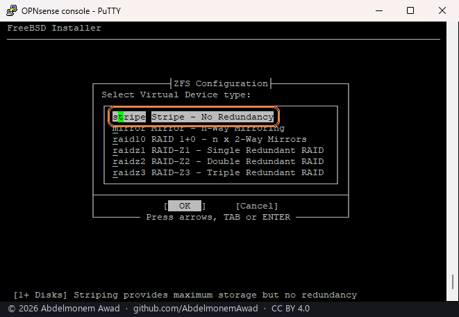 ZFS Configuration, the virtual device type: stripe framed