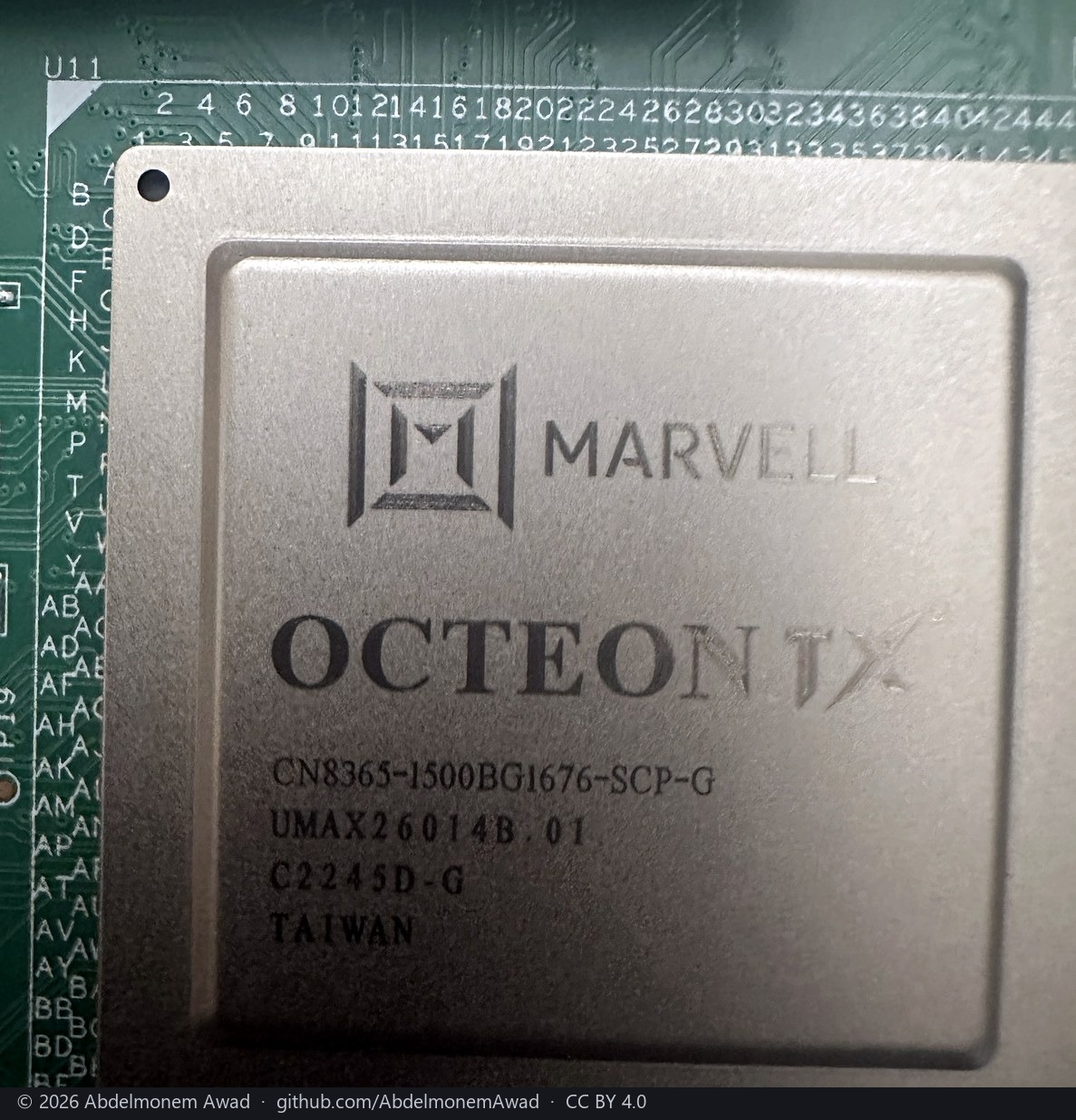 The OCTEON TX coprocessor