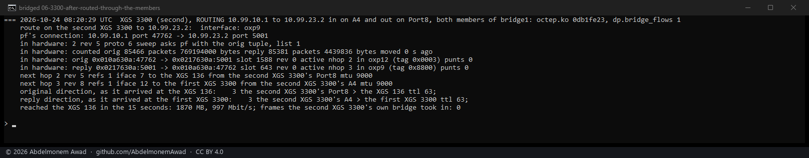 After: a connection the XGS 3300 routes through the same two member ports - still routed, its frames from the ports' own MACs with the TTL lowered