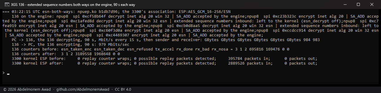 ESN both ways for 90 seconds: 984 and 979 Mbit/s