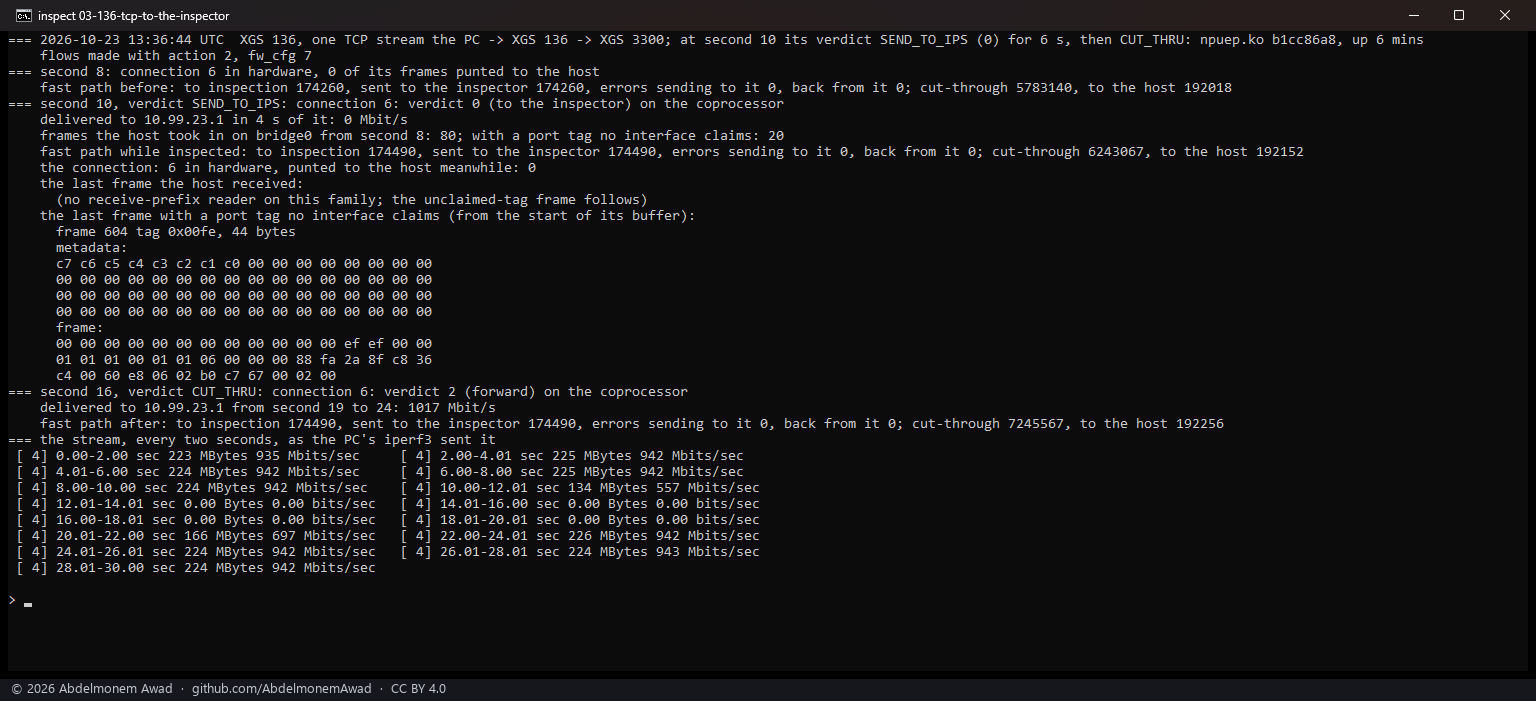 XGS 136, TCP: 48 frames sent to the inspector, none back, nothing delivered; 1,006 Mbit/s again once forwarded