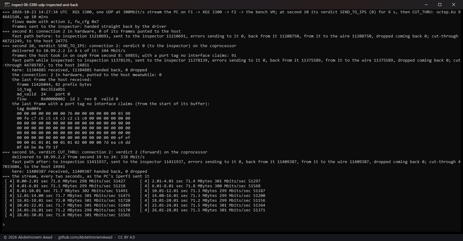 XGS 3300, a UDP stream at 300 Mbit/s, the same: all of it delivered