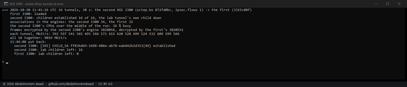 Sixteen IPsec tunnels at once between the two XGS 3300s: 16 of 16 established, 34 and 32 associations in the engines, 9,019 Mbit/s together