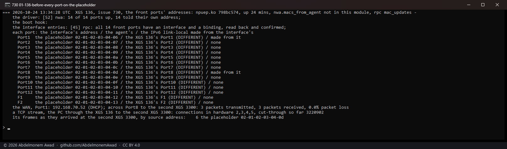 Before: all fourteen ports on the placeholder 02:01:02:03:04:06 onwards, the agent's own addresses different, a stream in hardware leaving with the placeholder
