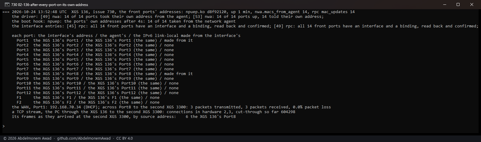 After: all fourteen ports on their own addresses, the same as the agent's; link-local addresses made from them; a new DHCP lease on the WAN; a stream in hardware leaving with Port8's own address