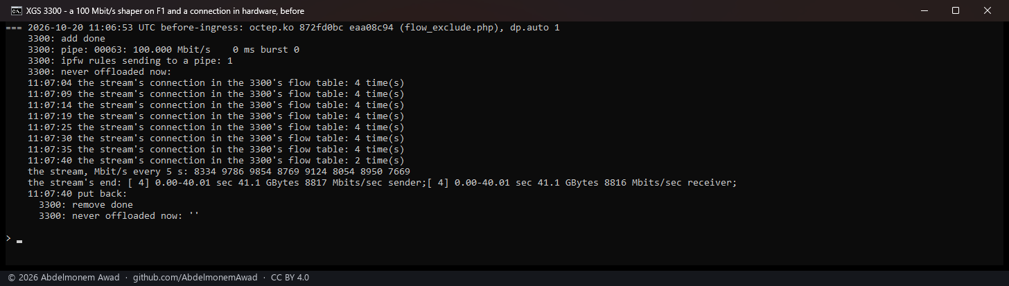 Before: a 100 Mbit/s shaper, the stream in hardware at 8,816 Mbit/s
