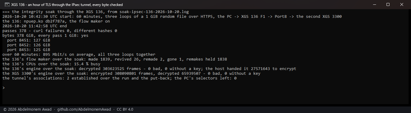 An hour of TLS through the XGS 136's IPsec engine: 378 passes of 1 GiB, none failed and none changed, 895 Mbit/s on average