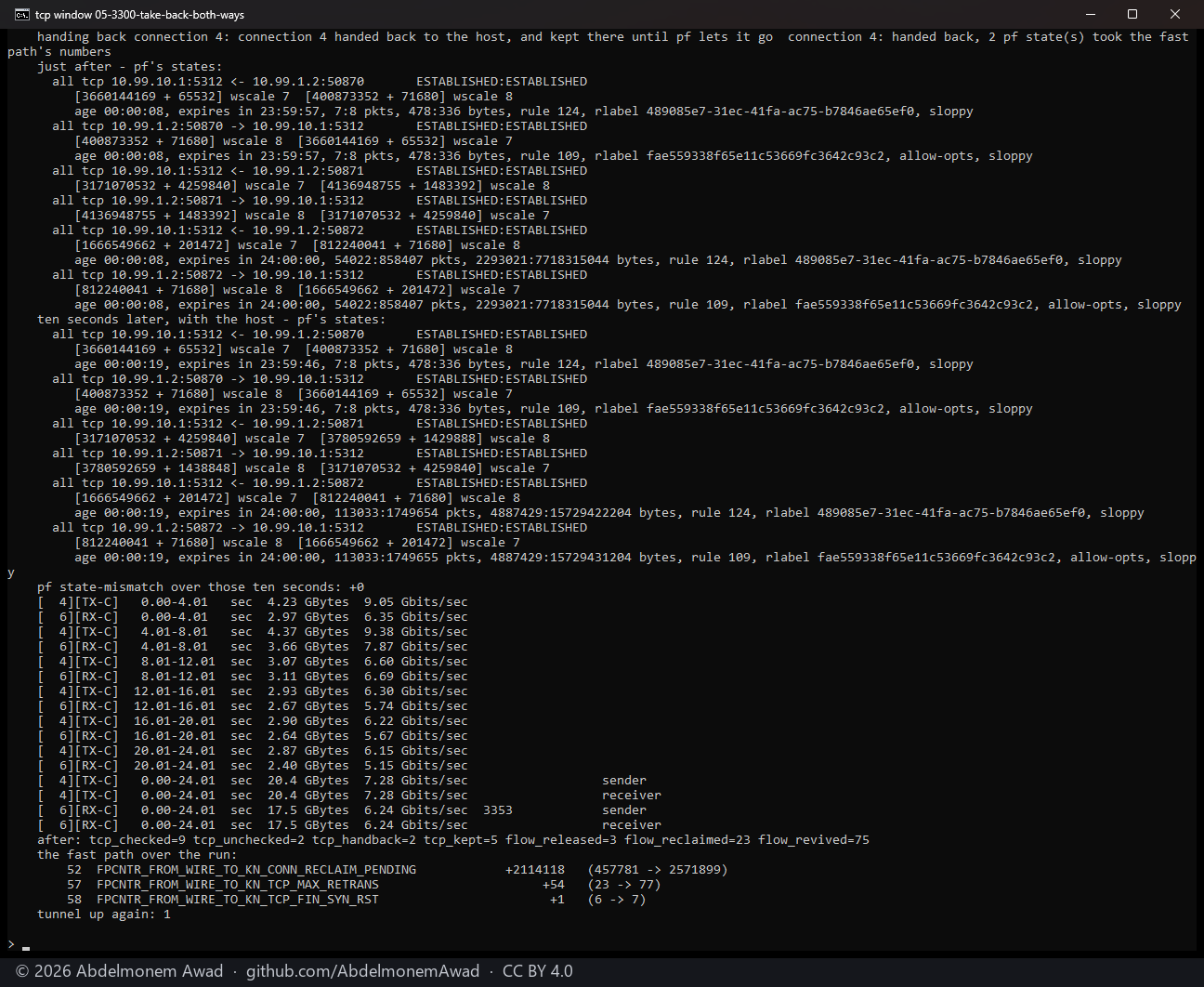 XGS 3300, both ways at once: handed back, two pf states took the fast path's numbers, state-mismatch +0; 7.28 and 6.24 Gbit/s