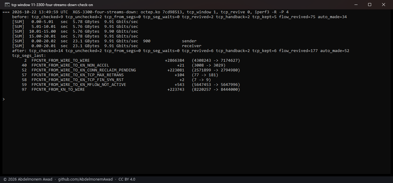 XGS 3300, four streams down, the check on: 9.91 Gbit/s, no segment dropped by the check