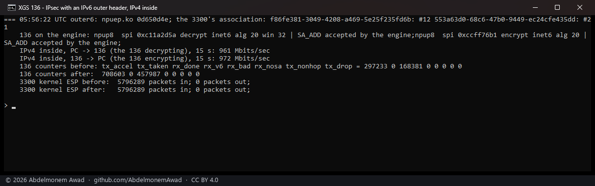 IPv6 outside, IPv4 inside: 961 and 972 Mbit/s