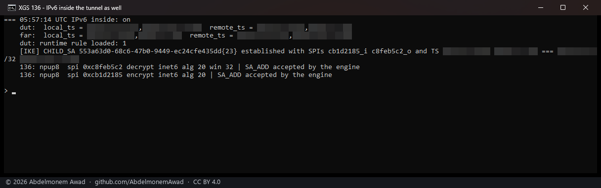 IPv6 inside as well: the selectors widened, the runtime rule loaded