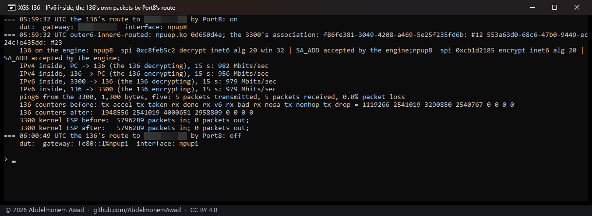 The 136's route by Port8: 979 both ways with IPv6 inside, through the offload path