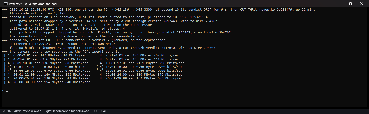 XGS 136, the same: 0 Mbit/s for the six seconds, then 608 Mbit/s again