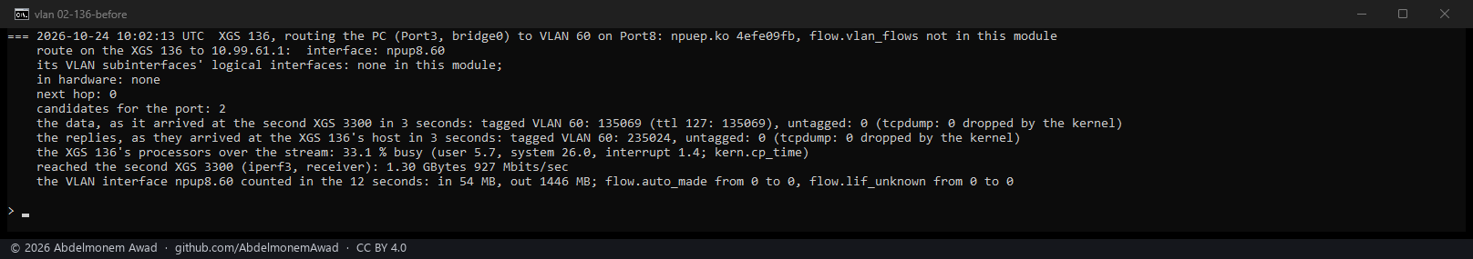 Before: no logical interface for VLAN 60 - nothing in hardware, every reply crossing the host, its processors a third busy