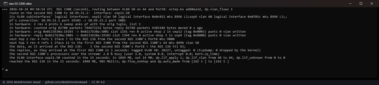 After: both directions in hardware, the tag written - the reply's next hop leaves by VLAN 50 and every reply arrives tagged